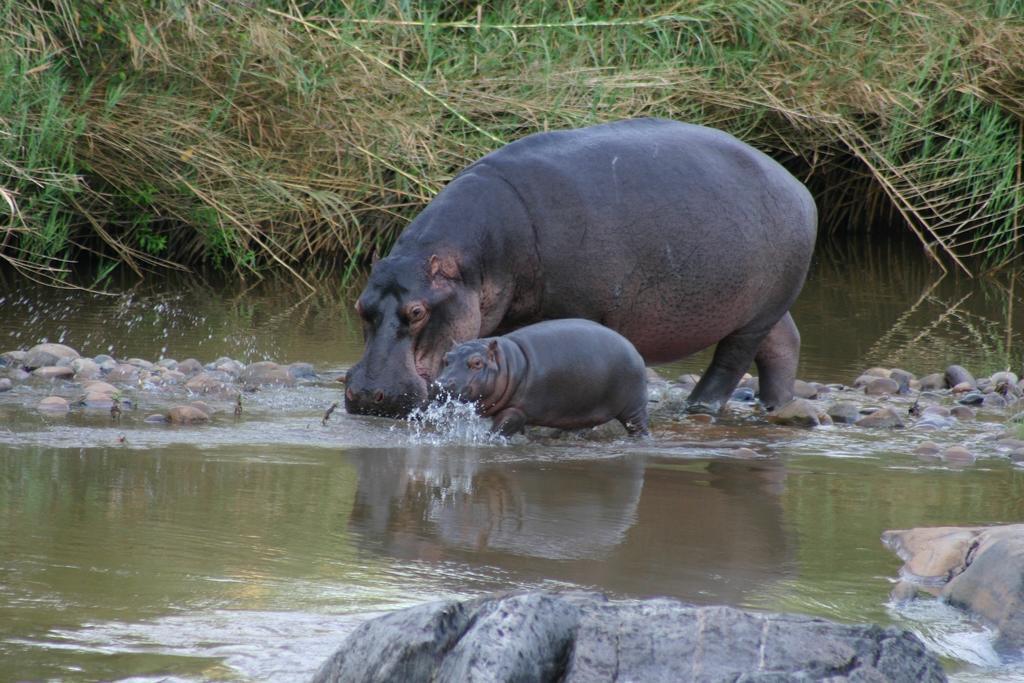 River House Hoedspruit Bagian luar foto